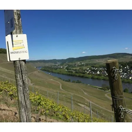 With 4 And Terrace * Osann-Monzel