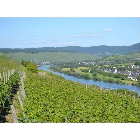 With 4 And Terrace 펜션