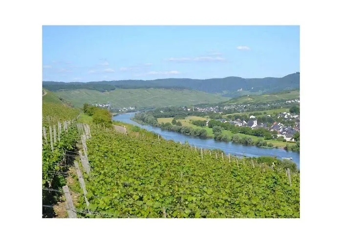 With 4 And Terrace בית נופש